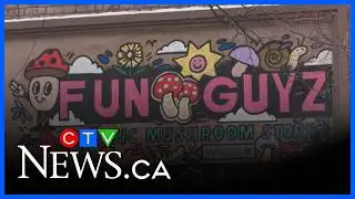 Windsor magic mushroom store closing after crystal meth seized