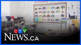Windsor teacher suspended