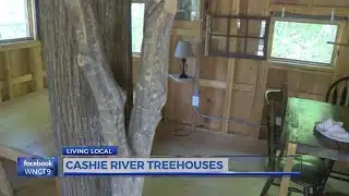 Windsor Tree Houses Living Local