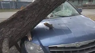 Windstorm strikes Deer Park family for the second time in two years