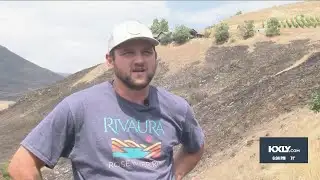 Winery inventory destroyed in Gwen Fire