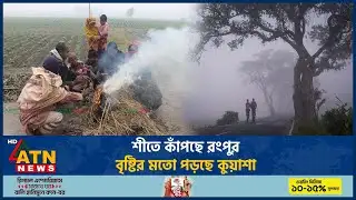 শীতে কাঁপছে রংপুর, বৃষ্টির মতো পড়ছে কুয়াশা | Winter | ATN News