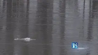 Winter fish kills possible in small lakes and ponds