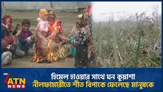 হিমেল হাওয়ার সাথে ঘন কুয়াশা, নীলফামারীতে শীত বিপাকে ফেলেছে মানুষকে | Winter | Nilphamari | ATN News