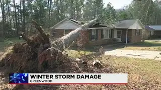 Winter storm causes damage around our area