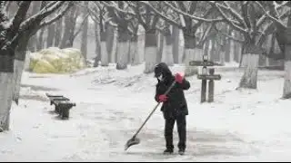 Winter System Moves Through Southern Ontario, Bringing Heavy Snow