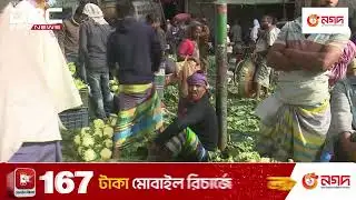 Winter vegetables supply increased | DBC NEWS