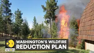 WION Climate Tracker | Washington