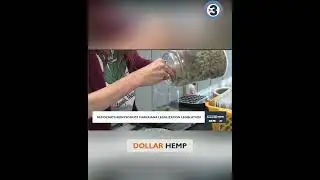 Wisconsin Cannabis Legalization: Economic Boost & Safety #shorts