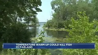 Wisconsin DNR notes rise in fish kills amid warmer waters