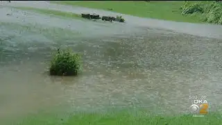 With Continuous Rain, Where Will The Water End Up?