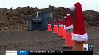 WLSSD holiday tree recycling set to begin