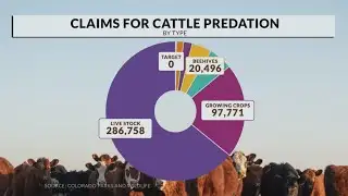 Wolf attacks add to thousands in annual livestock damage