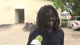 Woman, 77, Dies After Bee Attack