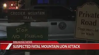 Woman dead after suspected mountain lion attack in Larimer County