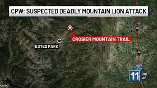 Woman dead, two animals euthanized after suspected mountain lion attack in north Colorado