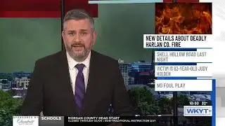 Woman dies in house fire