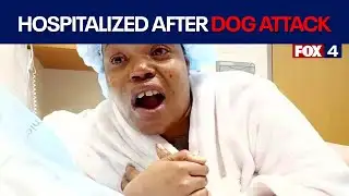 Woman hospitalized after dog attack in Oak Cliff