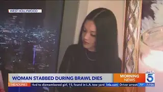Woman stabbed during massive WeHo brawl dies days later