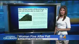 Woman Survives 30 Foot Fall From Mt. Royal