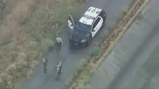 Woman, two dogs killed after struck by lighting | Top 10