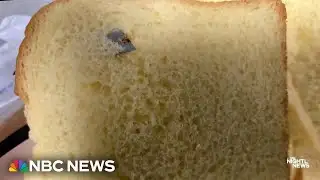 Women arrested after razor blades found in bread sold at Walmart