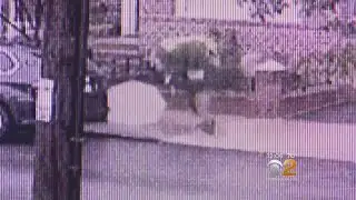 Women Fight Off Mugger With Umbrellas