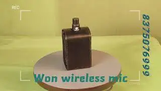 WON WIRELESS BLUETOOTH MIC
