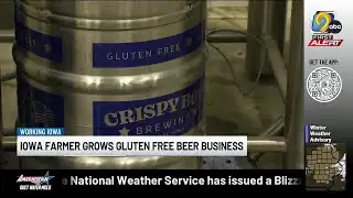 Working Iowa: Farmer grows gluten-free beer business