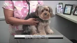 World Rabies Day