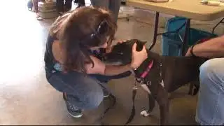 World Rabies Day | Cronkite News