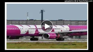 Wow Air, an Icelandic Budget Airline, Suspends Service