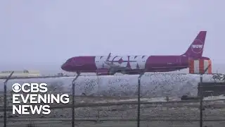 WOW Air goes bust, leaving passengers stranded