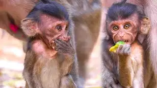 Wow!! Really Cutes Baby Mamo || She surprised the hand that ate delicious food