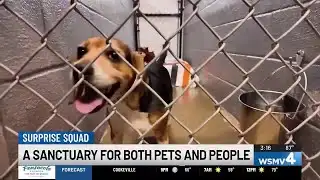 WSMV4 Surprise Squad visits ‘New Leash on Life’ - a sanctuary for both pets and people