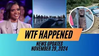 WTF Happened: News Update - November 29