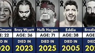 WWE Wrestlers Died In Every Year From 2000-2025