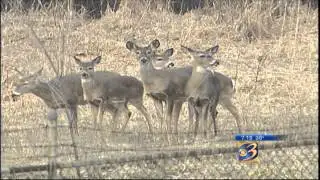WWMT - Interview: Deer season