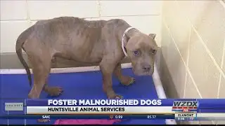 WZDX News at 9:00 p.m.