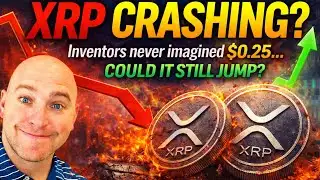 XRP $100 By When? Former Ripple CTO Gives Reality Check