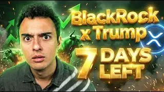 XRP + BLACKROCK + TRUMP = NEW FED CHAIR? 7 DAYS LEFT