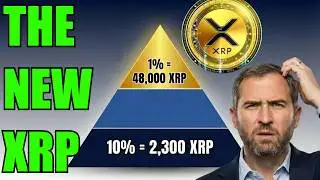 XRP Holdings Calculator: How Much Is Enough?