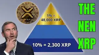 XRP Holdings Calculator: How Much Is Enough?