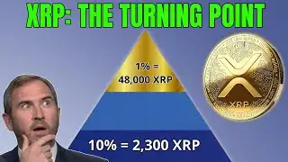 XRP Holdings Calculator: How Much Is Enough?