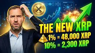 XRP Holdings Calculator: How Much Is Enough?