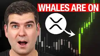 XRP just entered a NEW phase