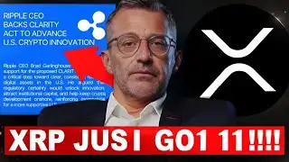 XRP JUST GOT IT!!!! MAJOR STATEMENT FROM RIPPLE XRP CEO!!!