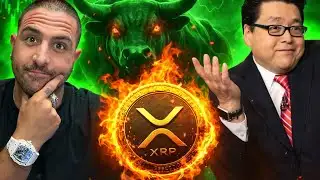 XRP Leads as Crypto Nears a Bottom? Tom Lee Weighs In as Ripple Secures Full EU License