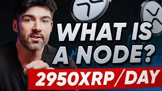 XRP Nodes for Beginners: Everything You Need to Know to Understand the Network