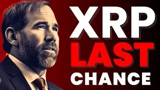 XRP We need this bad...